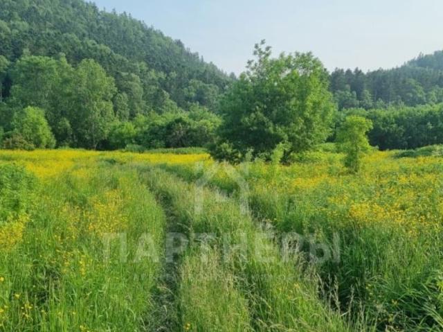 продажа загородная село Лесное улица Морская