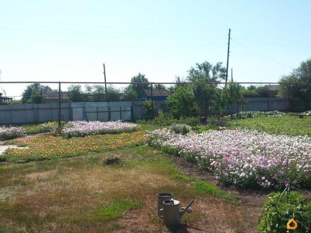 продажа загородная село Мачеха Заречная улица, 40