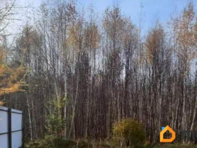 продажа загородная село Максимиха Байкальская улица