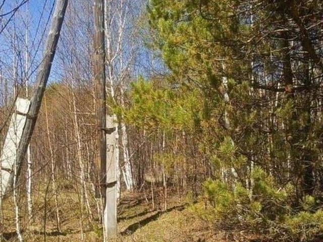 продажа загородная село Максимиха улица 1 я Олимпийская