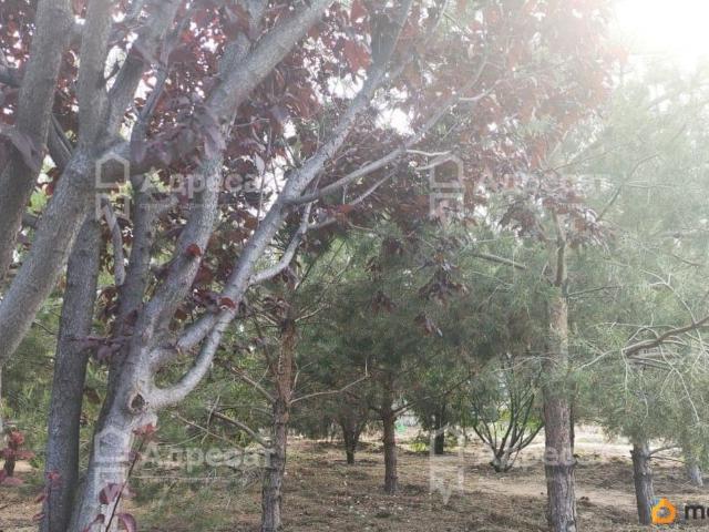 продажа загородная село Малые Чапурники улица Сарпинская