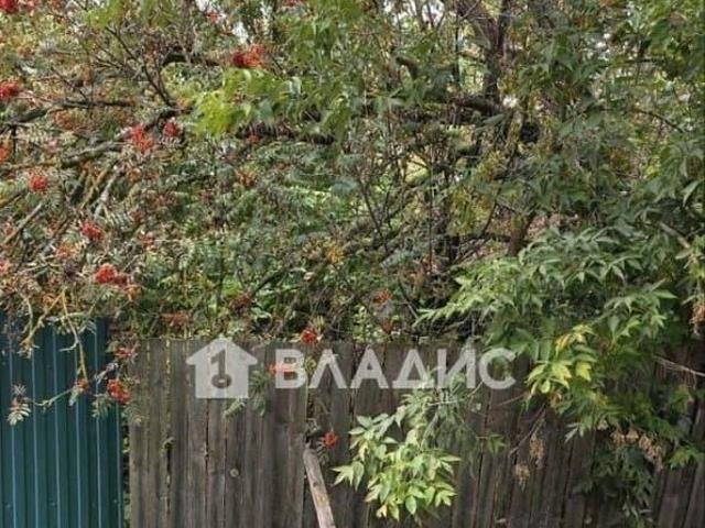 продажа загородная село Мошок улица Мишулина, 1