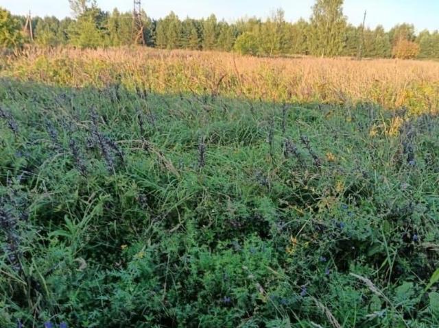 продажа загородная село Мошок Заводская улица, 45