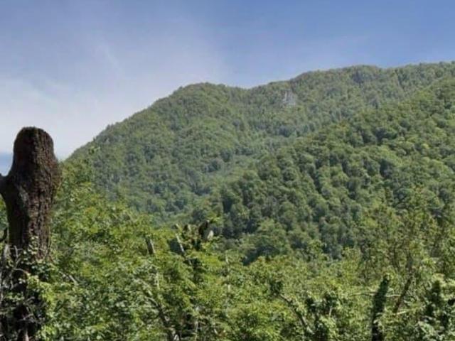 продажа загородная село Монастырь улица Партизанская, 6Д/13