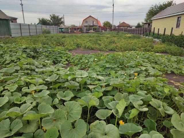 продажа загородная село Молоканщина ул. молоканщина, 25