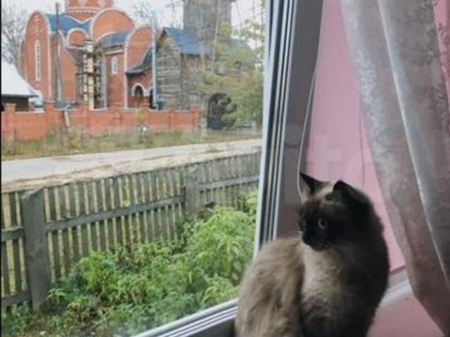 продажа загородная село Моряковский Затон улица Ленина, 9