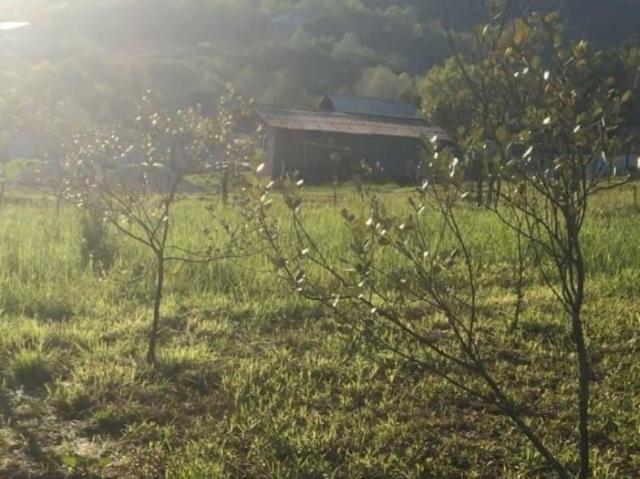 продажа загородная село Нижняя шиловка улица Комарова, 14Б/3