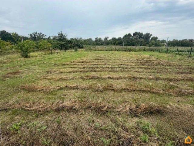 продажа загородная село Нижняя Солонцовка улица Раздольная, 1