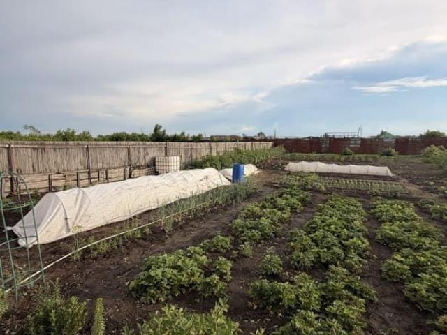 продажа загородная село Нижнеиртышское Сенная улица
