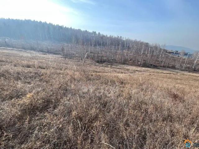 продажа загородная село Нижний Цасучей улица Жукова