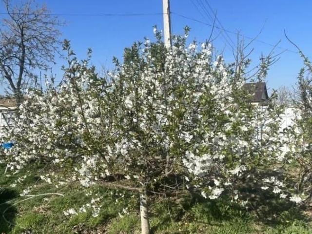 продажа загородная село Никольское Набережная улица, 48