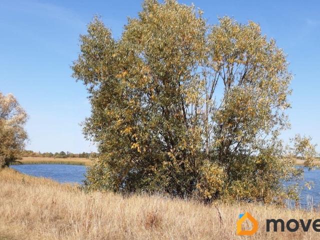 продажа загородная село Носины улица Центральная, 60А