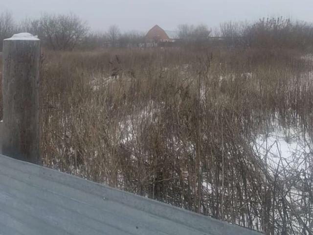 продажа загородная село Новый Буян Полевая улица, 28