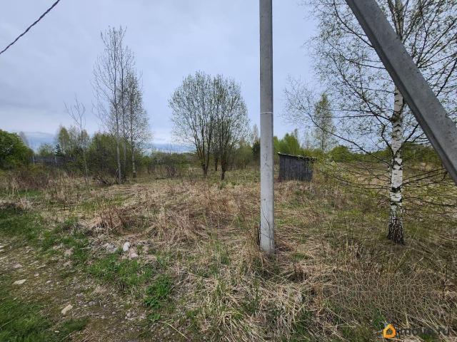 продажа загородная село Ново Талицы улица Сосновая, 24