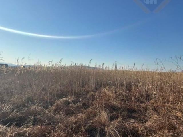 продажа загородная село Новолитовск улица Черняховского, 1