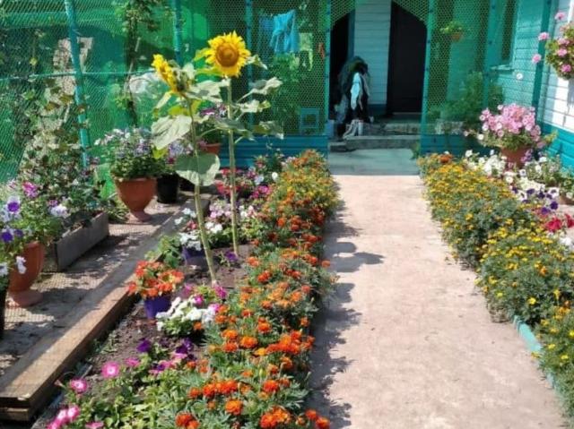 продажа загородная село Новопетровка улица Стрельцова, 39