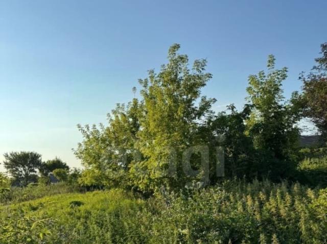 продажа загородная село Оброчное Новая улица