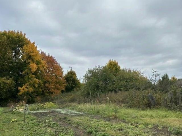 продажа загородная село Ореховец улица Запрудная, 10