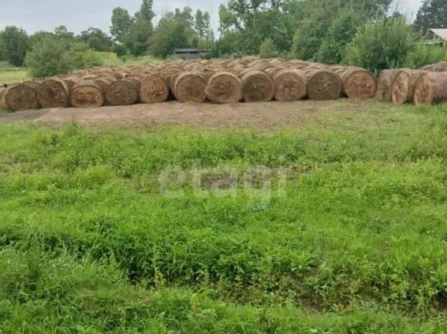 продажа загородная село Озерное улица Переселенческая