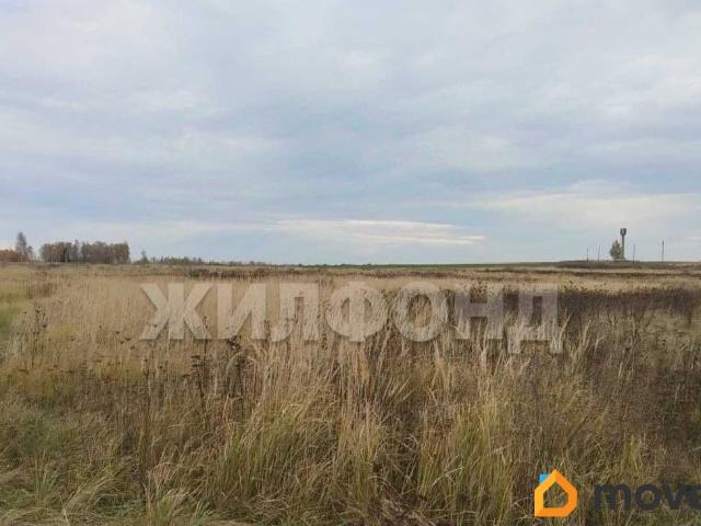 продажа загородная село Палужье улица Школьная