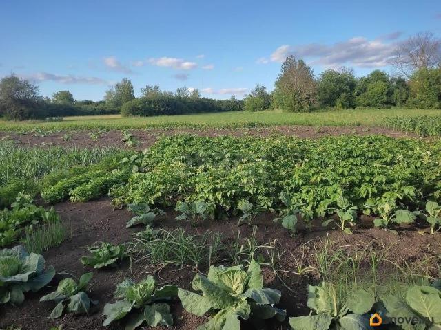 продажа загородная село Палатово улица Набережная, 31