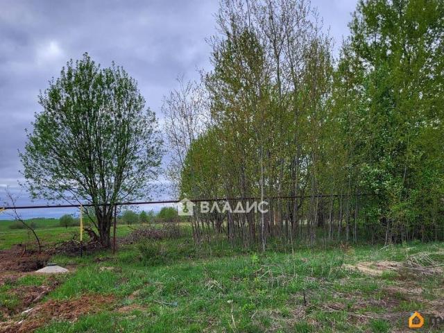 продажа загородная село Павловское улица Молодежная