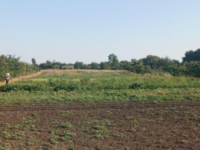 продажа загородная село Песчанокопское улица Народная, 78
