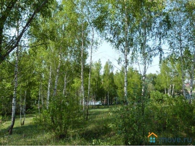 продажа загородная село Петрищево улица Калужская