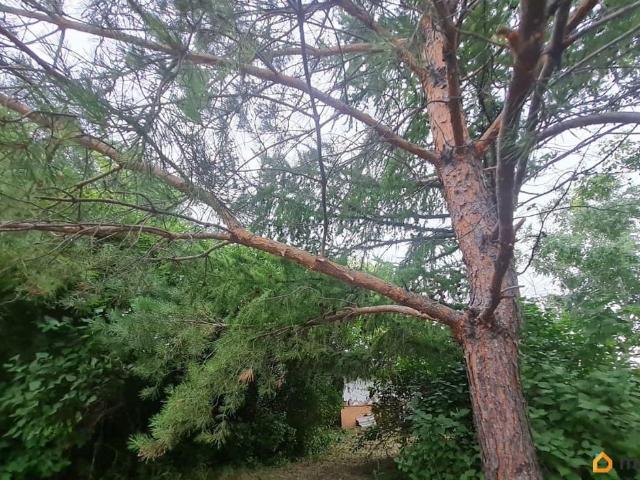 продажа загородная село Пикетное улица 1 я Южная, 28