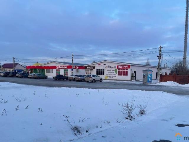 продажа загородная село Подстепки Кооперативная улица, 22А