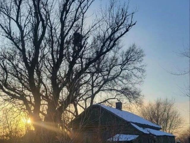 продажа загородная село Покровка улица Арсеньева, 15