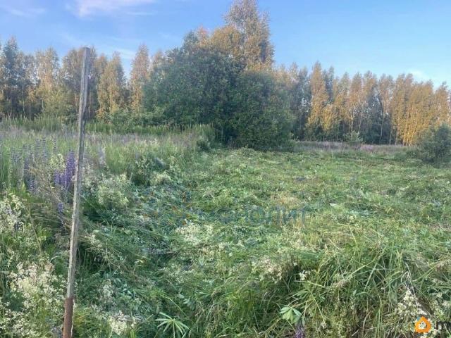 продажа загородная село Пологовка улица Интернациональная