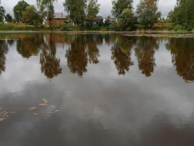 продажа загородная село Плещеево улица Клубная