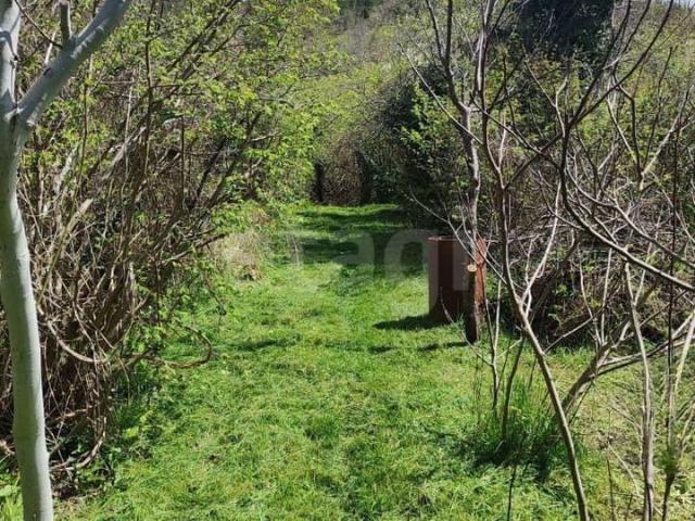продажа загородная село Прасковеевка улица Морская