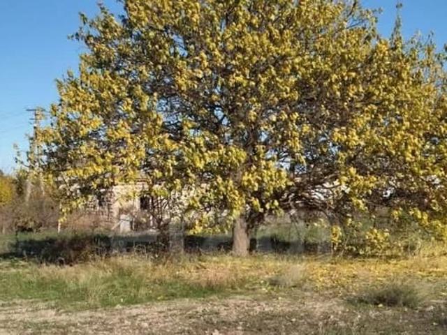 продажа загородная село Приветное улица Заречная