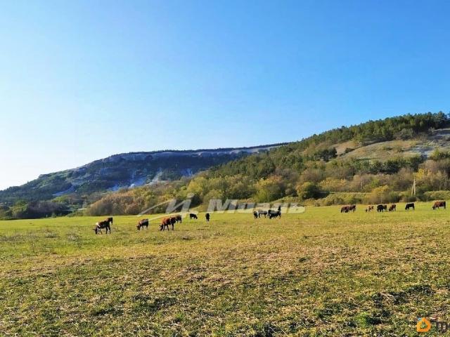 продажа загородная село Приятное свидание улица Каштановая, 2