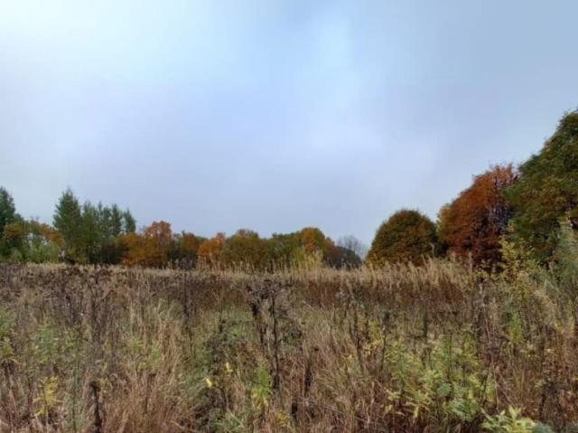 продажа загородная село Прилуки улица Набережная