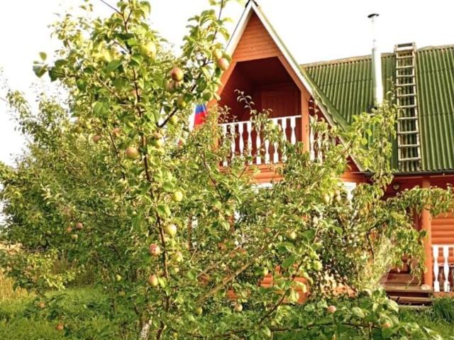 продажа загородная село Путилово улица Дьяконова, 67