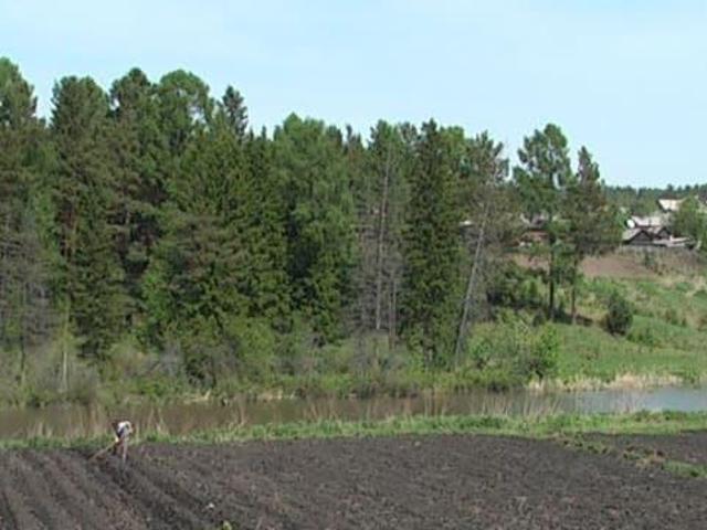 продажа загородная село Российка улица Заречная, 19