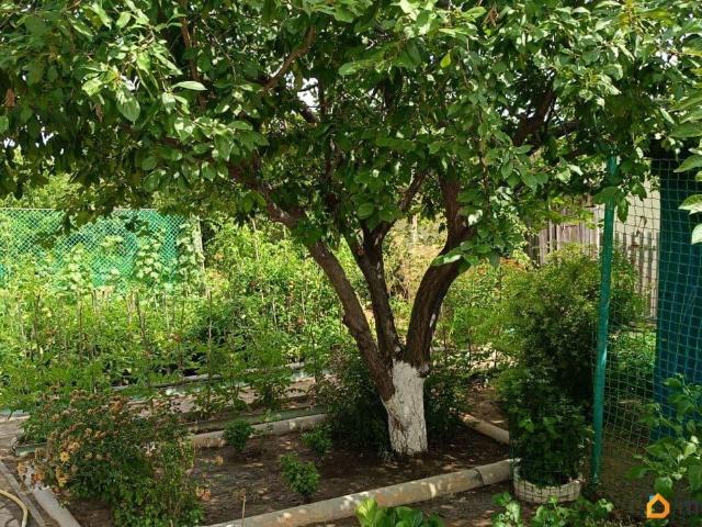 продажа загородная село Сасыколи улица Мира, 9
