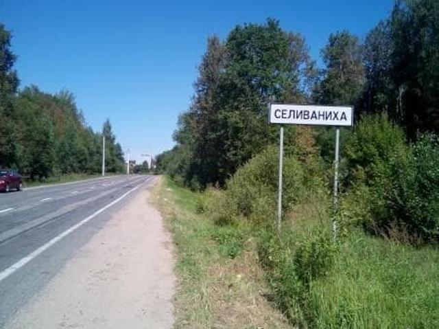 продажа загородная село Селиваниха ул. Царская, 18
