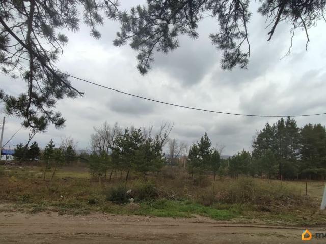 продажа загородная село Селиваниха улица Таежная, 7