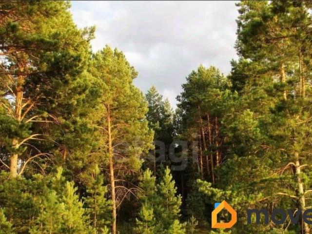 продажа загородная село Сивинь Виноградная улица, 4
