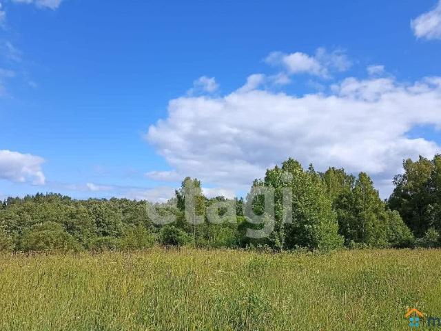 продажа загородная село Спас улица Колхозная, 18