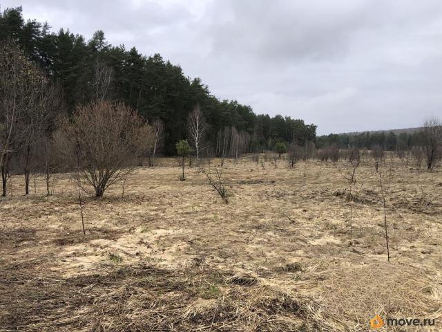продажа загородная село Страхово улица Лесная