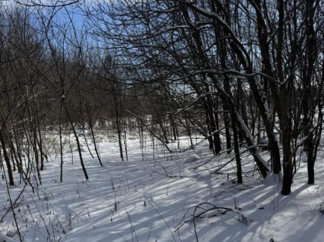 продажа загородная село Сычевка улица Садовая, 25