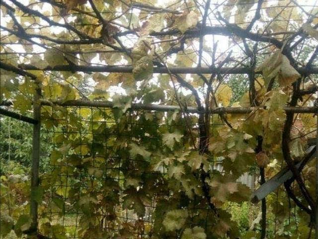 продажа загородная Семикаракорск улица Ленина, 277