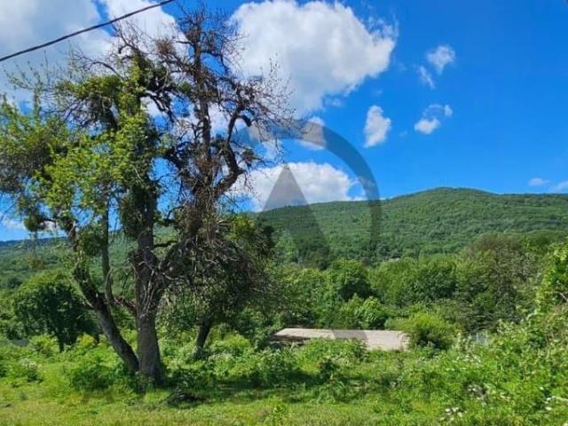 продажа загородная станица Темнолесская улица Лесная