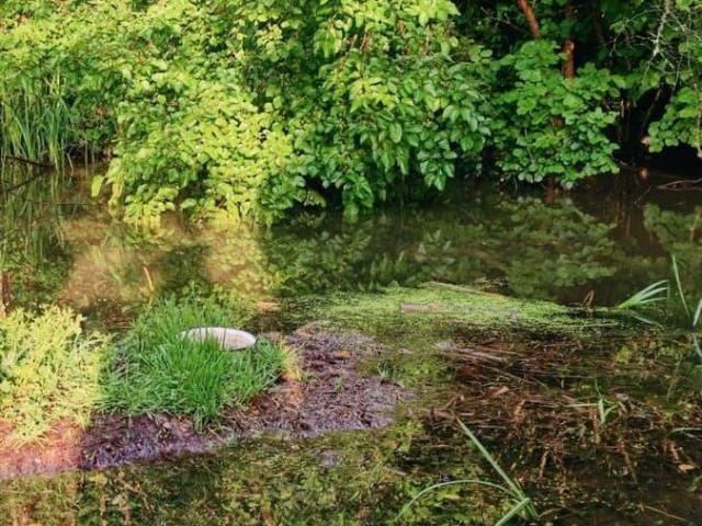 продажа загородная станица Тверская улица Центральная, 12