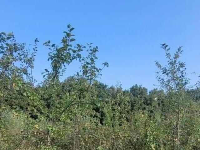 продажа загородная станица Азовская улица Матросова